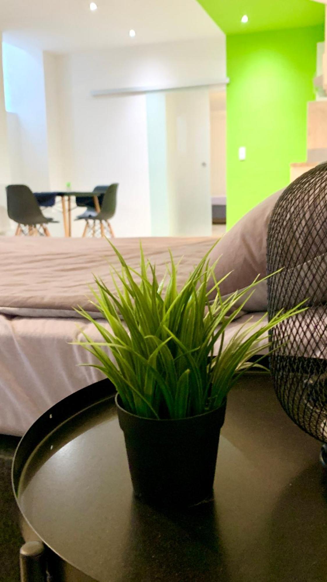 Centrally Located Included Netflix Vienna